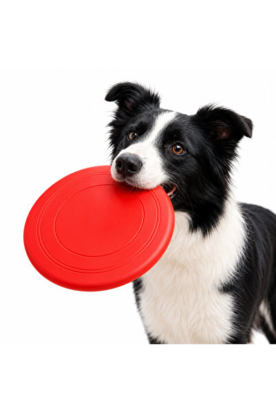Ventoze Soft Silicone Dog Frisbee Toy Teeth-Friendly Flexible Floating Intera...