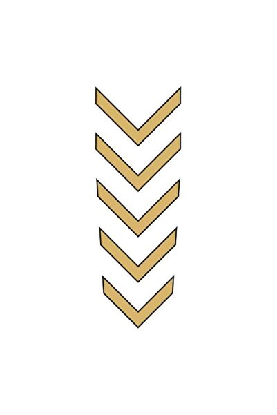 Genel Markalar Cg Gold Çamurluk Üst Sticker