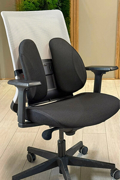 Posturecare Ergonomik Ayarlanabilir Sırt Desteği XTR (Süngerli Ekstra Destek ...