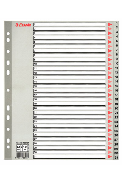 Esselte Divizoare index din plastic 1-31 Maxi