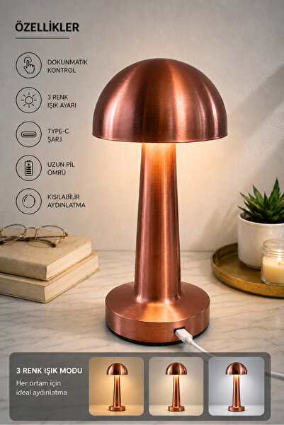 HANGAST Hl-009b Dekoratif Metal Bakır Mantar Kablosuz Masa Lambası Ledli 5v 3...