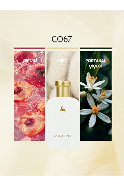 MUSCENT C067 Vallaya 50 ml.