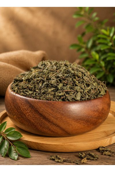 Natura Şifa Green Tea Leaf – Bulk Dried |   Healthy Daily Tea |   250 Grams