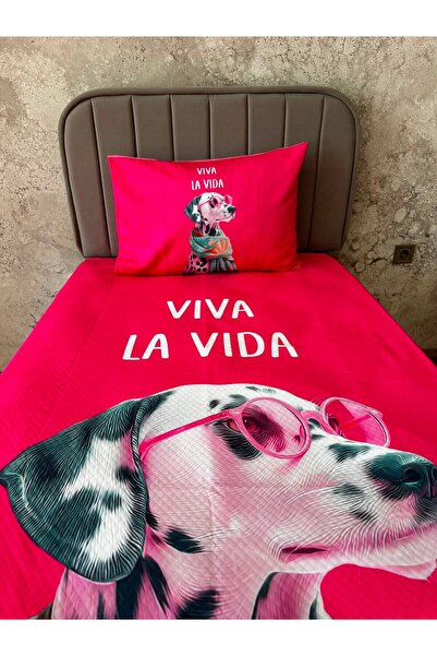 yok yok evim eve dair her şey ENERGIA CULORILOR DE VARĂ Animale de companie l...