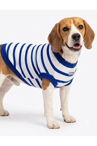 atelyu kedi köpek kıyafeti mavi çizgili tshirt