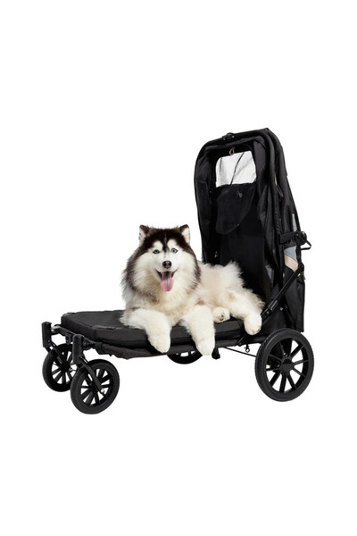 İbiyaya Grand Cruiser Büyük Irk Köpek Puseti