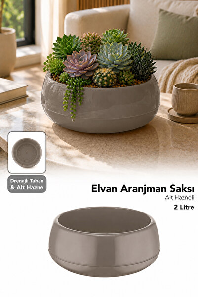 Meleni Home Modern Aranjman Saksı - Salon Bahçe Drenajlı Dekoratif Kaktüs Çiç...