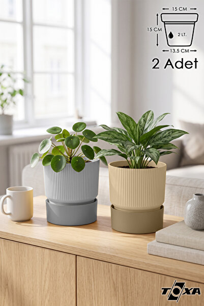 ToXA 2 Adet 2 Litre Karışık Iksora Saksı Dekoratif Tabaklı Çiçek Kaktüs Saksı...