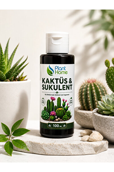 plant-home Kaktüs Ve Sukulent Için Yavru Ve Çiçek Destekleyici Premium 100ml ...