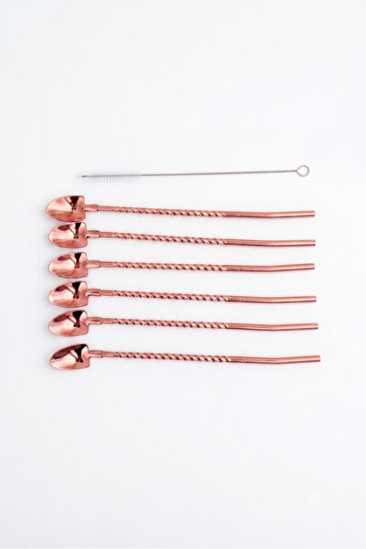 Elista 6-Piece Bronze Latte Spoon with Straw, Cocktail Spoon and Cleaning Bru...