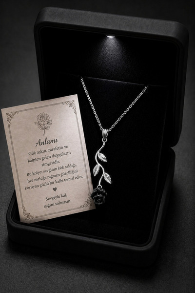 ÇEKİRDEK JEWELRY Işıklı Hediye Kutulu 925 Ayar Gümüş Siyah Gül Kolye – Kadınl...
