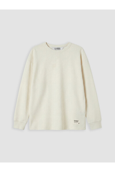 LC Waikiki Original Oval Collar Long Sleeve Boys' T-Shirt