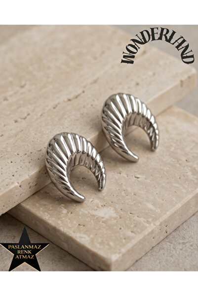 stainless steell 316L Steel Silver Crescent Earrings Croissant Women's Earrings