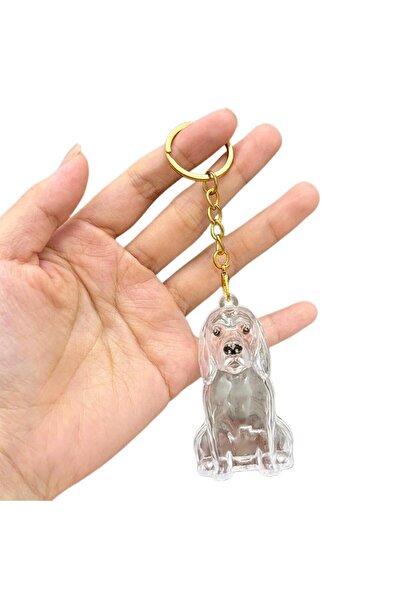 Choice8 B Dog Hair Collection Pendant Hair Storage Box Charm Pet Cute Keychai...