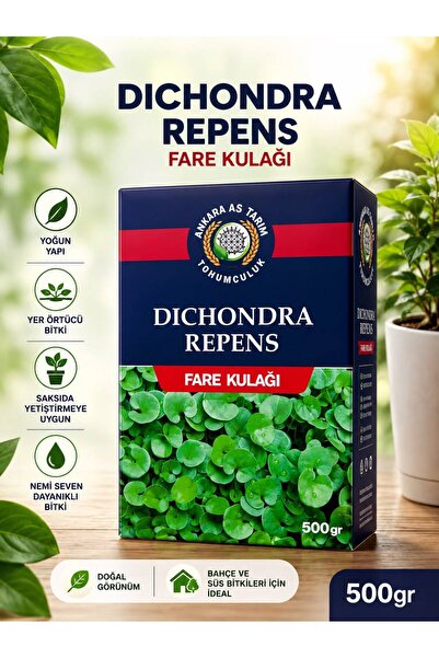 teknotrust Dichondra Repens Fare Kulağı Tohumu 500 Gr, doğal ve güzel peyzaj ...
