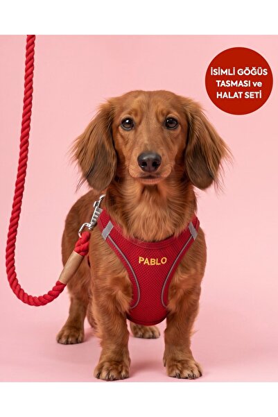 LUSİ-DOOG Köpek Tasma Seti Kişiye Özel Airmesh Göğüs Tasması İsimli Göğüs Tas...