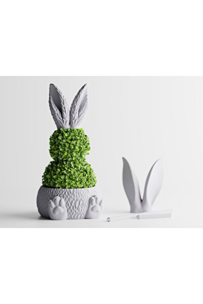 Tasarım Ostaris Dekoratif Saksı - 16 cm