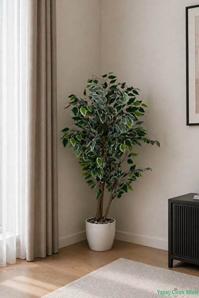 Yapay Çiçek Sitesi Beyaz Saksıda Yapay Benjamin (Ficus) Ağacı 130 cm Yeşil-Beyaz