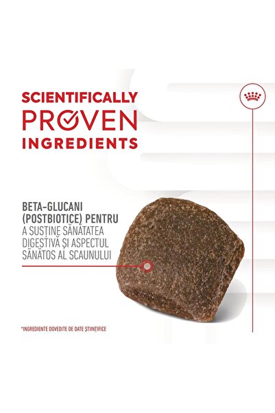 Royal Canin Digestion Chews Suplimente pentru susținerea digestivă pentru câini adulți 160 g