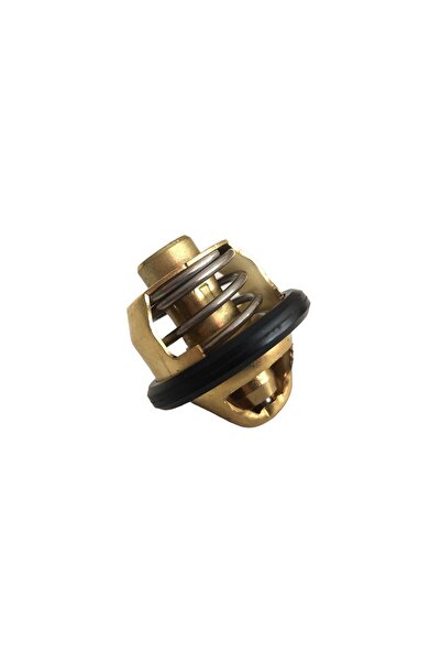 CF Moto Nk 250 - Nk 150 - Sr 250 - Cl-x 250 Termostat