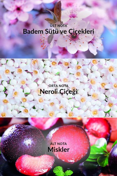 AVON TTA Everlasting Kadın Parfüm Edp 100 Ml.