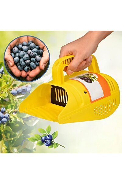 zola Culegator de fructe mici de padure, afinele, aronia, coacazele, maner er...