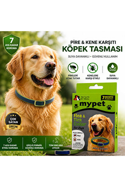Kotenart Köpek Pire böcek Tasması 7 Ay Etkili Suya Dayanıklı Ayarlanabilir Ko...