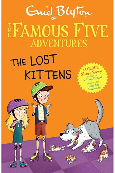 Hodder Children's Books Famous Five Colour Short Stories: Lost Kittens
