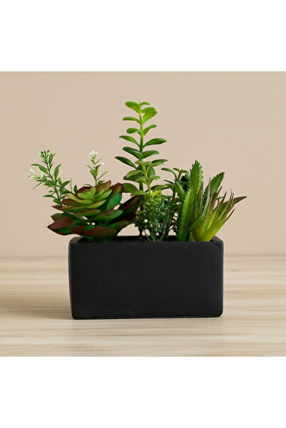 Home Box Tant Artificial Succulent Potted Plants - 19 cm