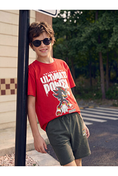 LC Waikiki Tricou și pantaloni scurți pentru băieți cu imprimeu Sonic