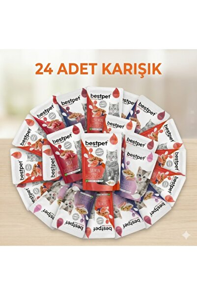 Bestpet Yaş Mama 85 gr x 24 Adet Karışık paket (KUZU SIĞIR TAVUK SOMON)