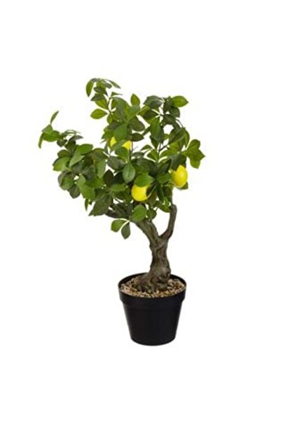 SHOPIENS Ghiveci decorativ negru cu plantă artificială de lămâi Ø16 x 55 cm