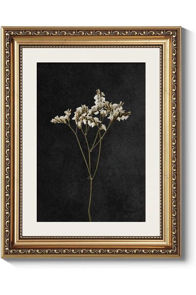ALAYRA International Premium Retro Dark Wildflower Canvas Wall Art Gold Frame...