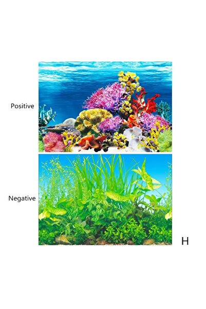OEM Fundal acvariu dublu-fata 40x60 cm, PVC gros, impermeabil, culori vibrante
