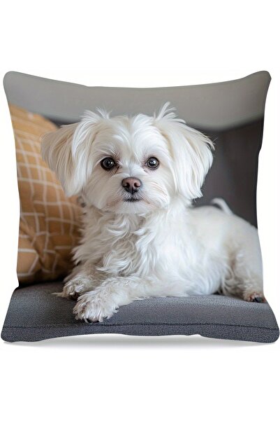 Choice1 45X45cm One Side ma2 45x45cm Adorable Maltese Dog Pillow Cover Cushio...