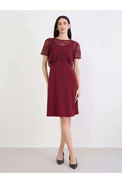 Styli Red Lace Overlay Sheath Knee Length Dress