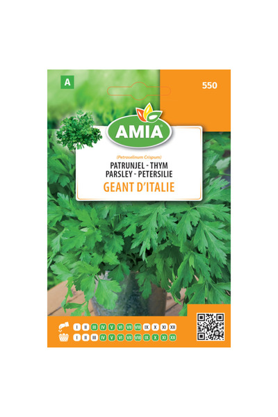 Amia Seminte de patrunjel Geant d'italie 7 g