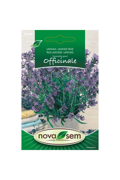 Novasem Seminte de levantica Novasem, 0,1 g