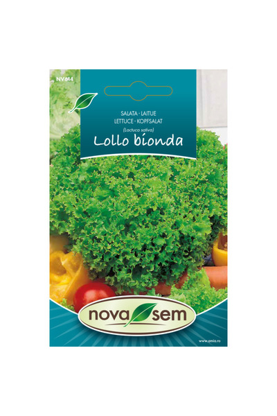 Novasem Seminte de salata Lollo Bionda Novasem, 0,5 g