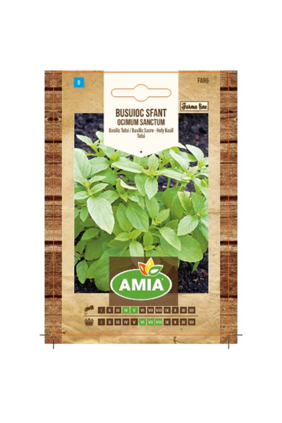 Amia Busuioc sfant Farma Line Ocimum sanctum (Holy Green)
