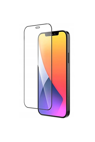 OEM Glass protector compatible with Samsung Galaxy A41 A415F