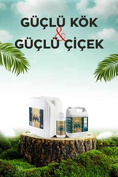 Ferment EXTRA Yüksek Fosfor Çinko Karışımı - Çiçek Coşturucu ve Kök Geliştiri...