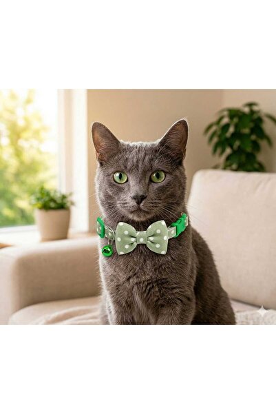 PATİZİSHOP Cat Premium Collar Collection