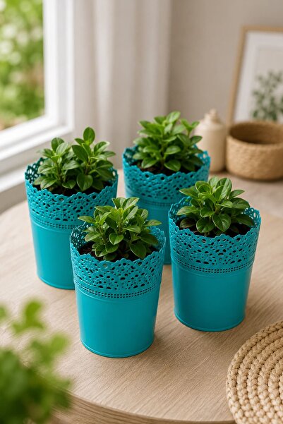 Alezy DAS1 Dantel No:1 - 1.1 Litre Plastik 4'lü Saksı