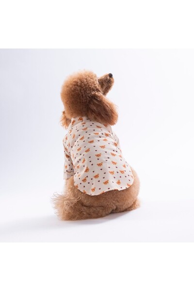 Pawstar Teddy Belle Cat Dog Shirt - Cat Dog Outfit - Cat Shirt - Dog Shirt