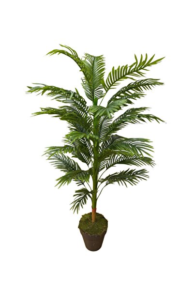 ŞA-DAL STORE Yapay Ağaç Areka Ağacı Palmiye Ağacı Salon Bitkisi 160cm 30 Yapr...