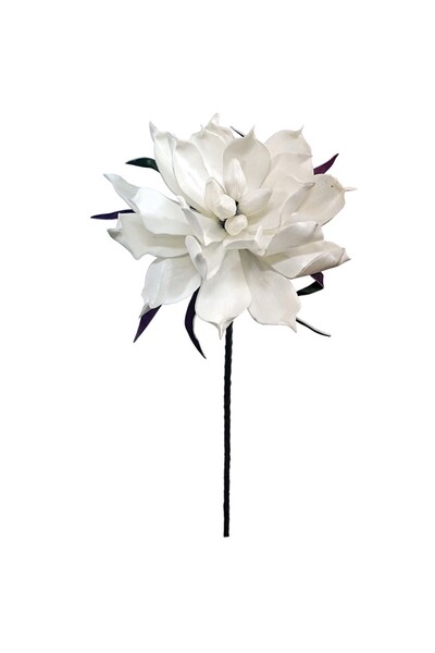 MARHOME Foam Μανωλια Λευκο μεταλλικο Χρωμα Y75cm. 12/120Kib 00-00-6061-5
