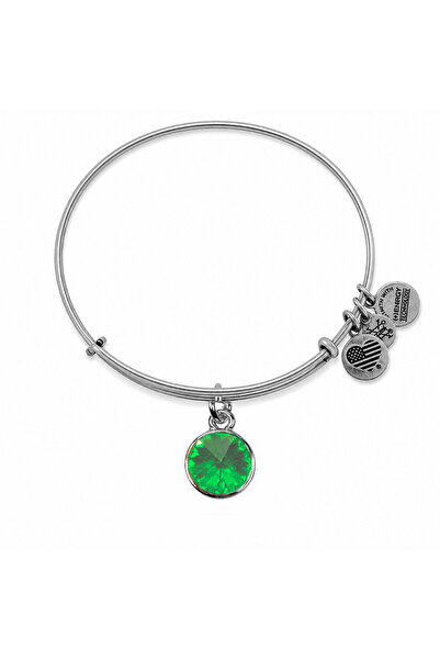 Alex and Ani Metal Bracelet A12EB247RS