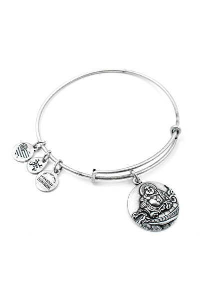 Alex and Ani Bratara Metal A16EBLBRS