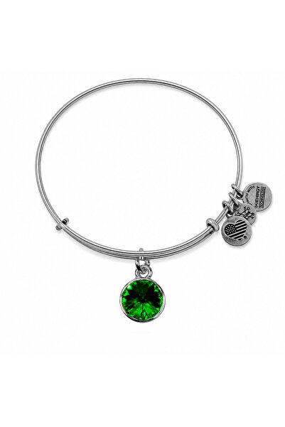 Alex and Ani Bratara Metal A12EB244RS